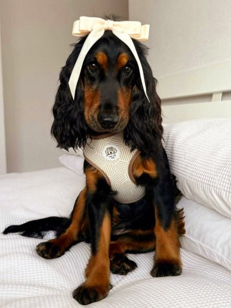 Adjustable Dog Harness - Boho