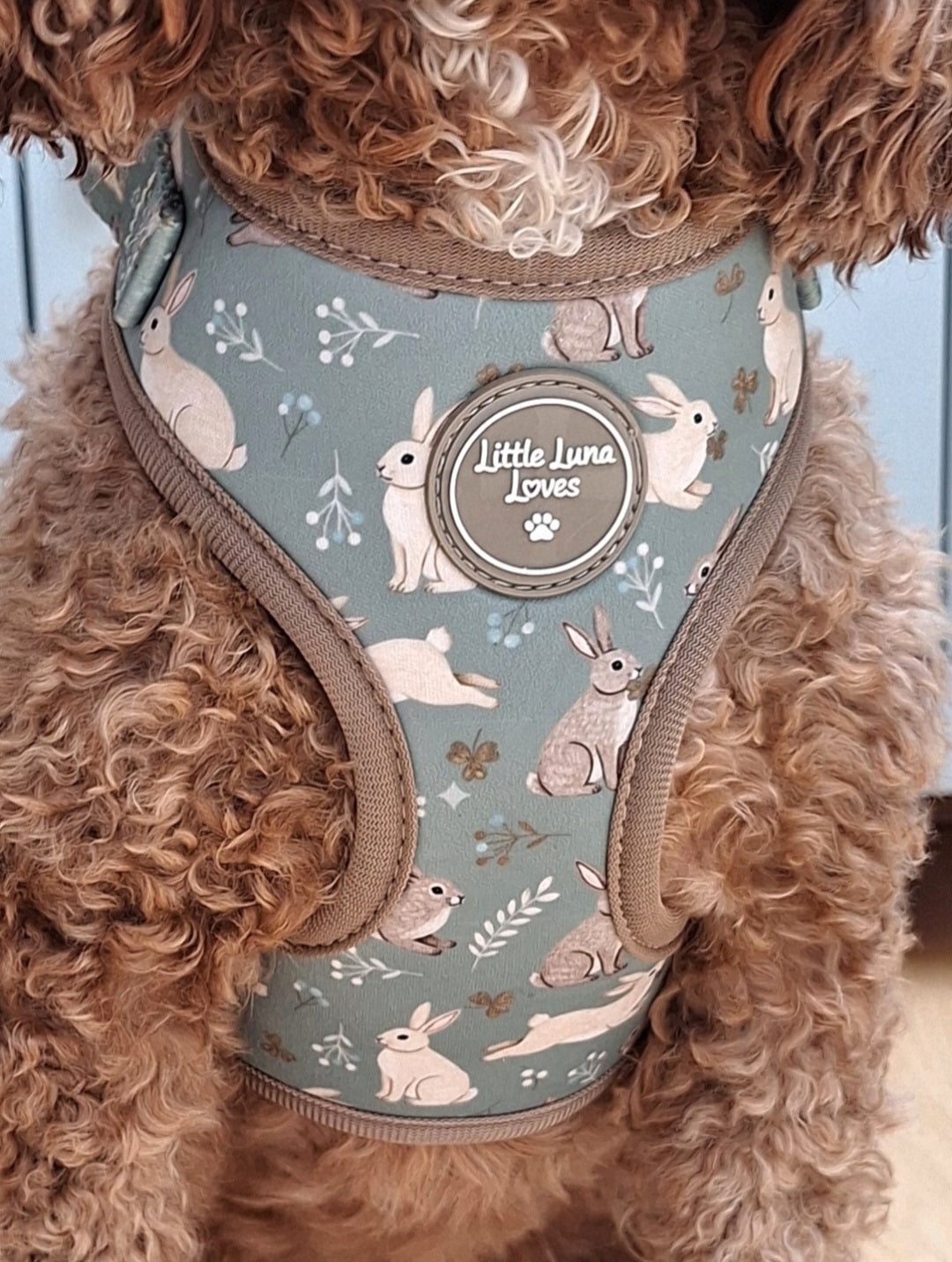 Adjustable Dog Harness - Bouncing Bunnies