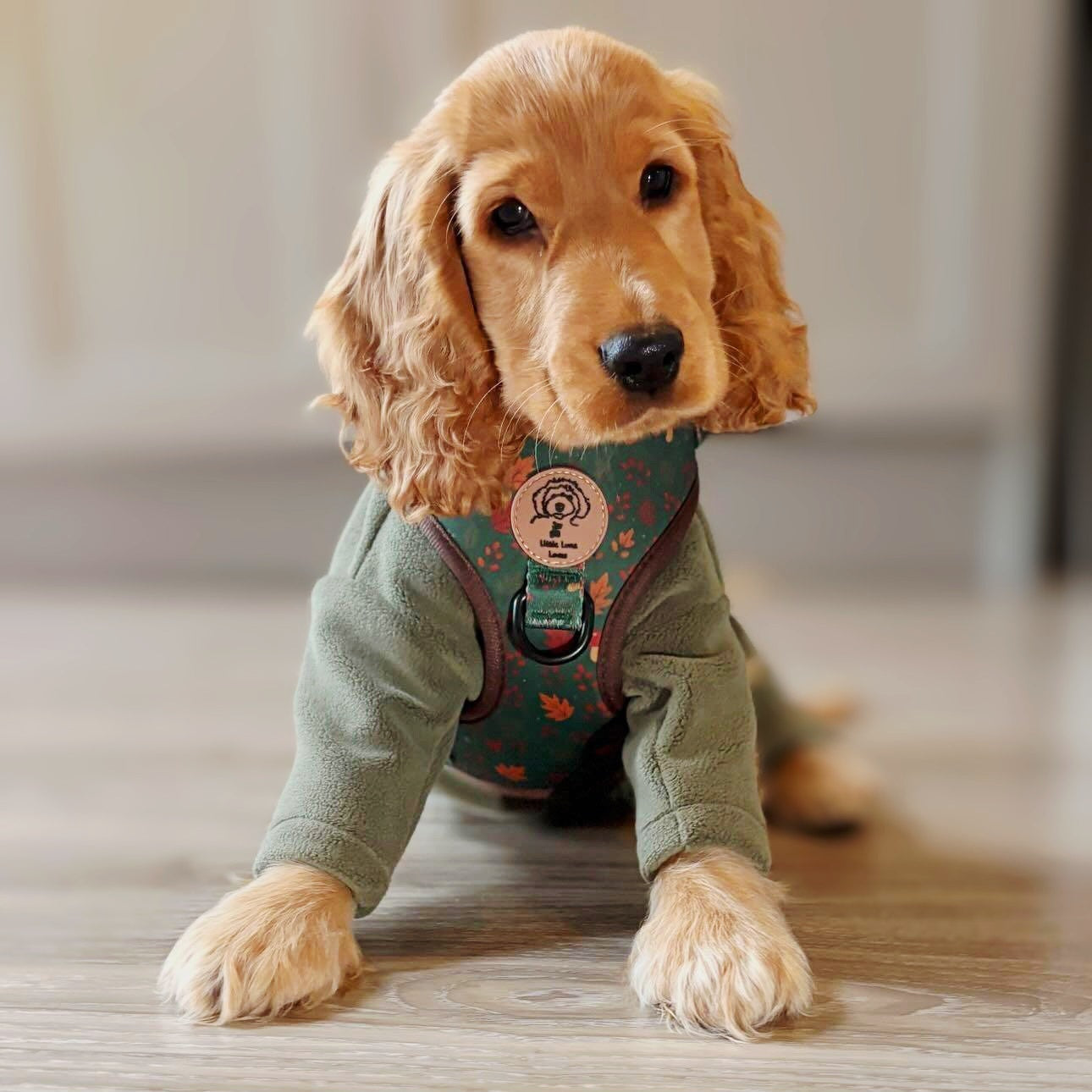 Adjustable Dog Harness - Woodland Walkies