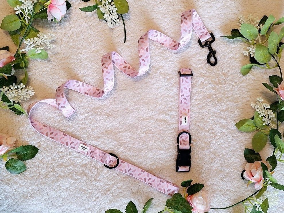 Pawfect Pink- Dog collar & lead set