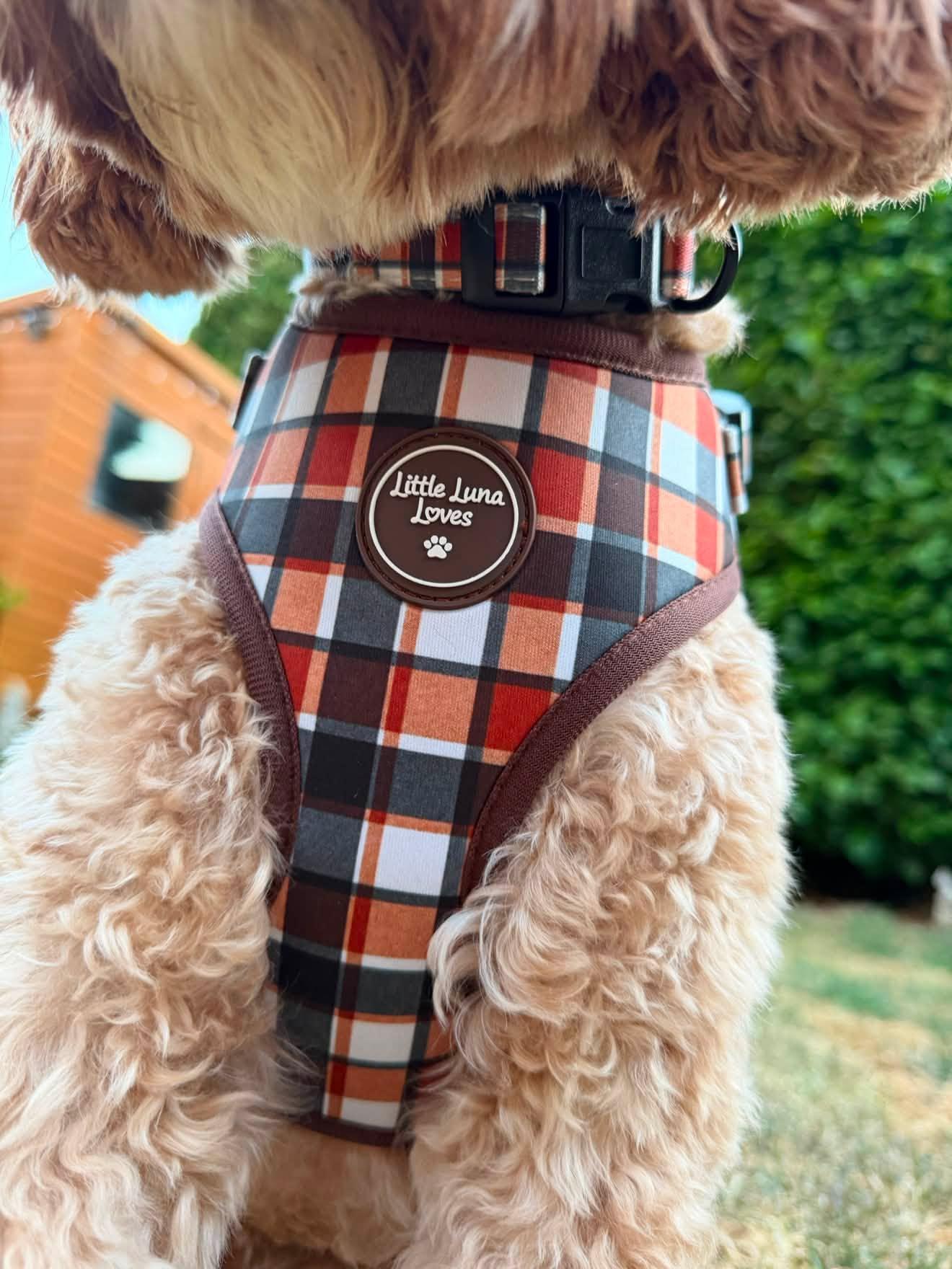 Plaid tartan Autumn check dog harnesses adjustable 