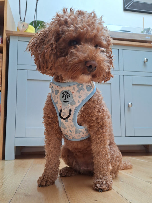 Adjustable Dog Harness - Arctic Adventures