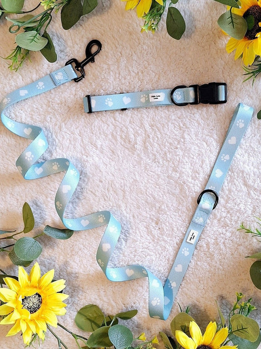 Paws For Love- Dog Collar & Lead set