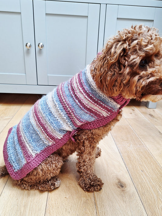 Dog Jumper - stripey
