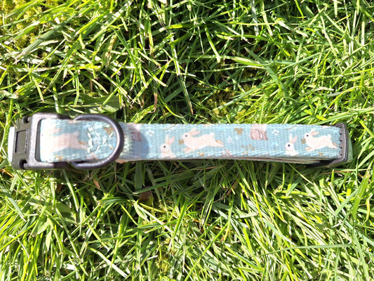 Dog collar with rabbit design on grass