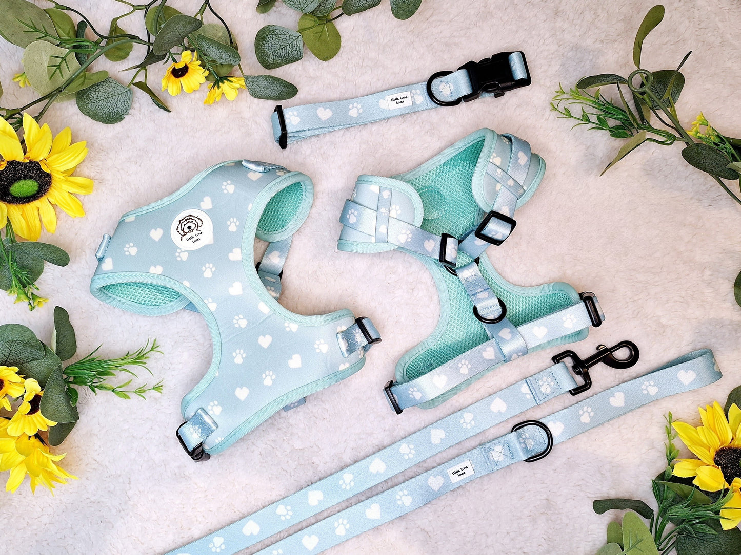 Paws For Love 3pcs matching set