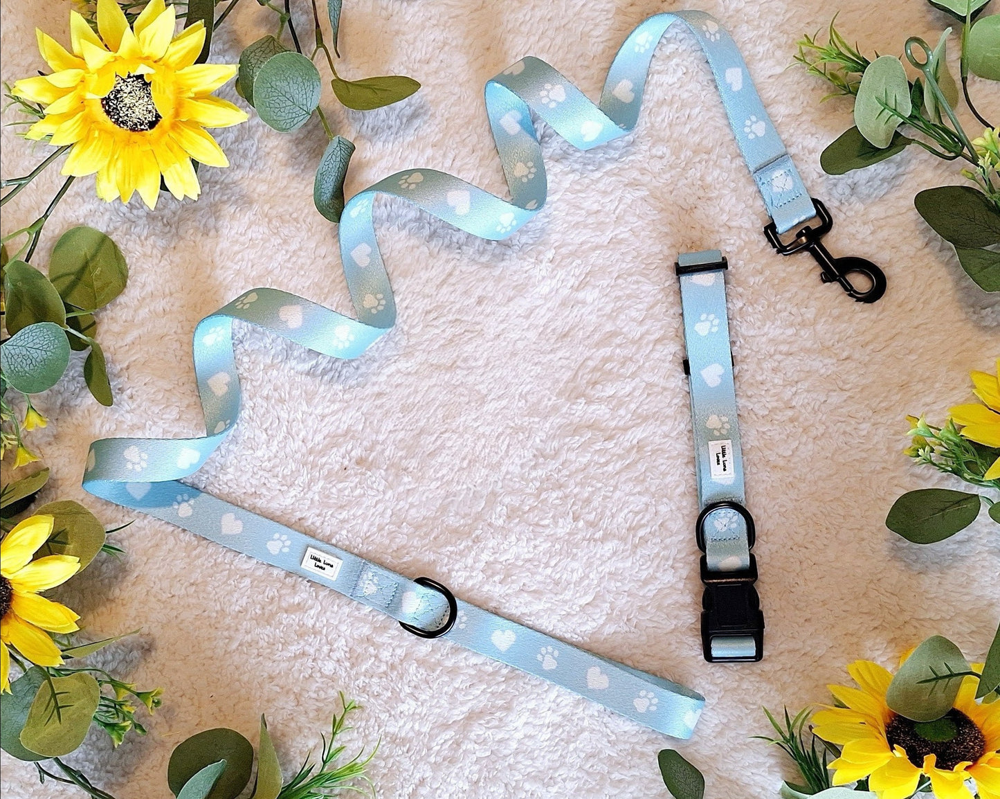 Paws For Love- Dog Collar & Lead set