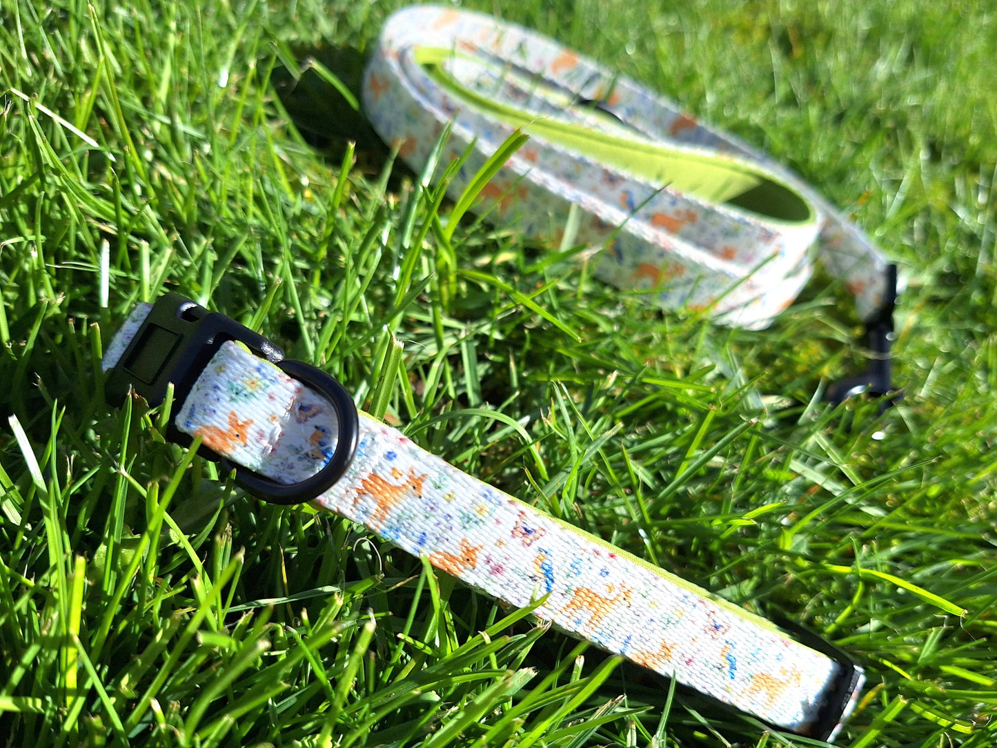 Dog Collar - Fox & Flutter